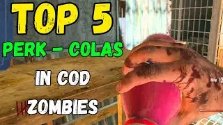 TOP 5 BEST PERKS IN CALL OF DUTY ZOMBIES!