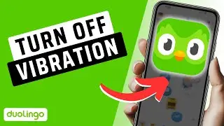 How To Turn Off Vibration On Duolingo (Updated)