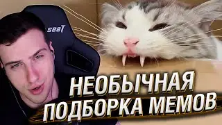 НЕОБЫЧНАЯ ПОДБОРКА МЕМОВ V286 | Реакция HellYeahPlay