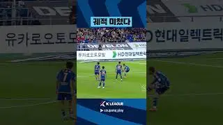이번에 울산에 새로 온 조지아 괴물 신입생