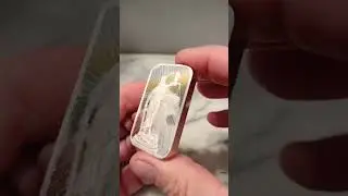100g silver bar
