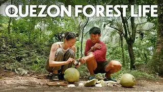 It’s More Fun in the Philippine Mountains | From Harvesting Coconuts to Snail Tasting 🌴🐌