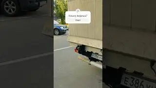 А она здесь есть! #наулице #улицымосквы #подороге #всепутем #кот #кошка