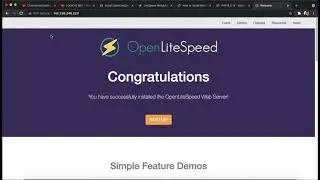 How to Make E-Commerce Website for Free - #5 How to install and Configure WordPress on OpenLiteSpeed