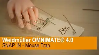 #2 Weidmüller OMNIMATE® 4.0 - SNAP IN - Mouse Trap