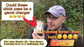 Could these Chick Peas be a game changer? (Barbel Fishing on the BAA Stretch Arley L/B) 🤔🤔😀🤫