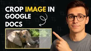 How to Crop Image in Google Docs - Easy to Follow Guide