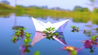 Стих О. Шевченко 