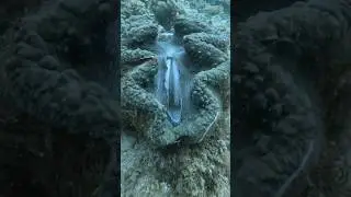 Seaside Slow Stroker