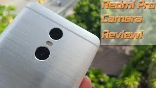 Xiaomi Redmi Pro: Dual Cameras Review - Nice bokeh effect