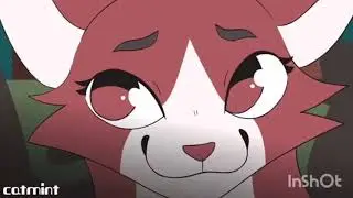 Кленовница: Я тебя найду!