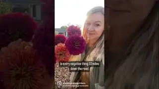 We took the dive into flower farming!