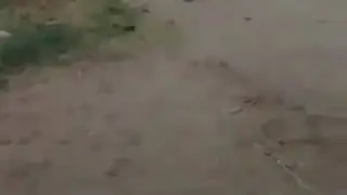 Утказиб.йубормаг.жуда.кизик(2)
