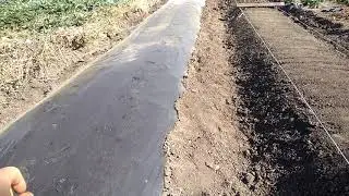 Делаем грядки для клубники🍓