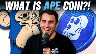 What The Hell Is ApeCoin?