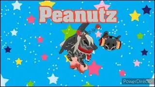 Peanutz Intro