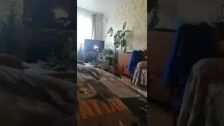 1 августа 2021 г.