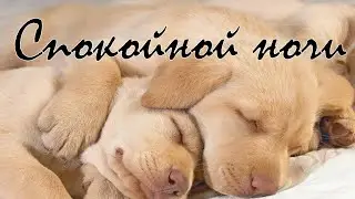 СПОКОЙНОЙ НОЧИ И ПРИЯТНЫХ СНОВ😌КРАСИВОЕ МУЗЫКАЛЬНОЕ ПОЖЕЛАНИЕ ДЛЯ ТЕБЯ🤗😌
