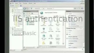 IIS basic authentication configuration example