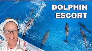 AWESOME Passage on Our Leopard 45 Sailing Catamaran: Puerto Rico to the Bahamas. E105