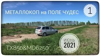 На поле чудес! Металлокоп с металлоискателем TIANXUN TX850 и китайской аськой MD 6250 (ACE-250)