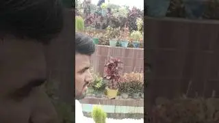 enjoy 