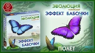 Полет. ЭВОЛЮЦИЯ. ЭФФЕКТ БАБОЧКИ. Настольная игра. Дополнение.