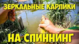 Зеркальные карпики на спиннинг .Наноджиг .