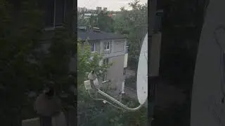 Что за жизнь такая....