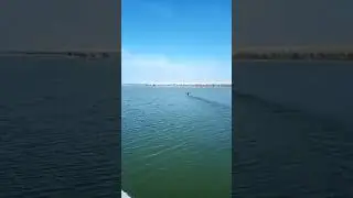 #шаитик #дичь