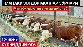 МАНА ЗОТДОР МОЛЛАР ЗЎР НАРХЛАРДА ШОШИЛИНГ !!! УРГАНЧ ШОВОТ ЙЎЛИ 10-июнь 2024 г.