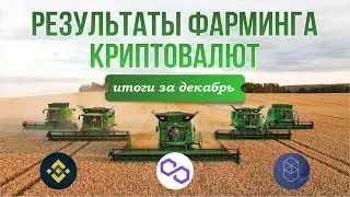 Фарминг криптовалют: итоги декабря
