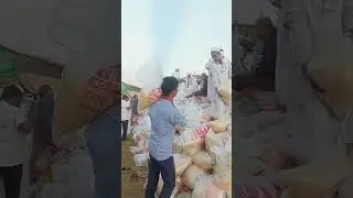 আস-সুন্নাহ ফাউন্ডেশনের শত শত লোক স্বেচ্ছাশ্রমের কাজ করছে #anu_r #youtubeshorts