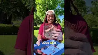 Planting Life: Watch me Bury My Placenta Beneath a Rose Bush 🌹🍃