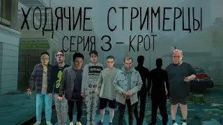 Ходячие Стримерцы - Крот || 3 Серия