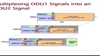 OTN DWDM Transmission 2