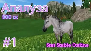 StarStableOnline   Апалуза №1
