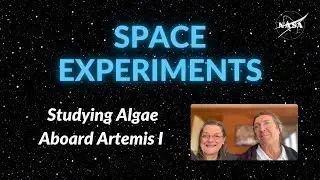 Onboard Artemis I: Studying Algae in Space
