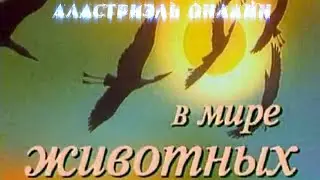 Невервинтер с Николаем Дроздовым