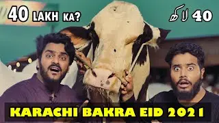 Karachi Cow Mandi 2021 | Mishkat khan (The Fun Fin) | UDF Cow Cattle Farm | Bakra Eid | Horse Riding
