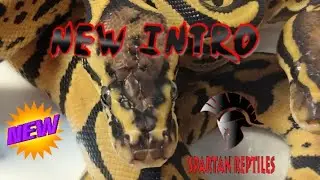 New Intro!