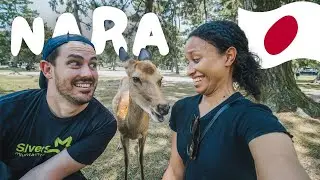🇯🇵 A day in NARA (deer park in Japan)