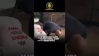 Ислам религия мира религия ислам#вера#люди