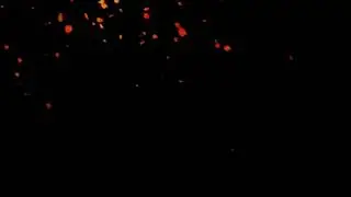 black screen effect falling blossoms||falling leave's black screen effects||black screen effects