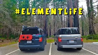 Picked Up A HONDA ELEMENT And  CONVERTED It Into A CAMPER