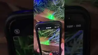 Correct answer gets pinned!