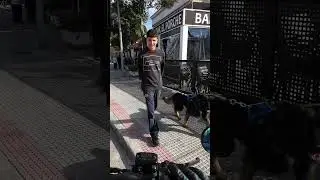 Nos volvemos a encontrar! 😍🐶