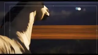 Dailies 07-31-2024