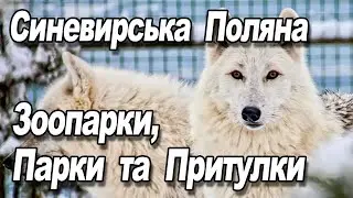 Зоопарки, Парки та Притулки. Відвідування Синевирської Поляни