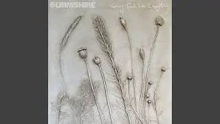 Heron (feat. Miryam Solomon)